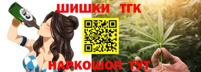 СК Боровичи