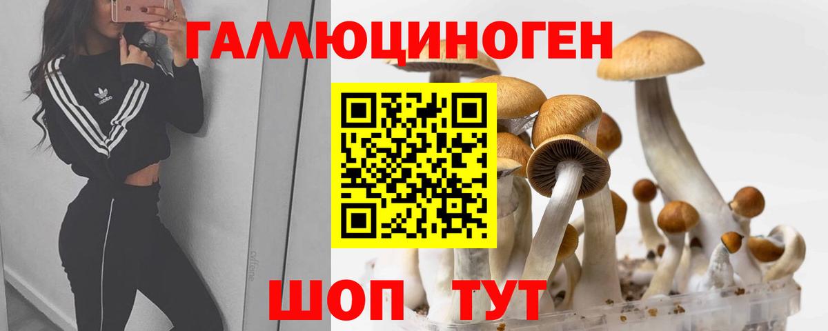 Псилоцибиновые грибы прущие грибы  Вход с VPN  Галлюциногенные грибы Cubensis  Великие Луки 